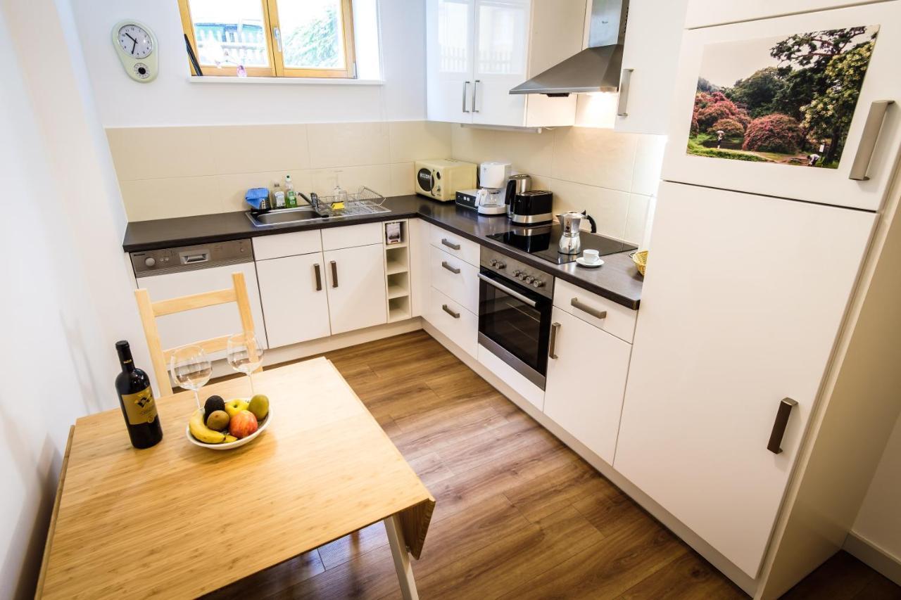 Wunderschoene Wohnung In Sanierter Villa! Incl Wifi Dresden Bagian luar foto